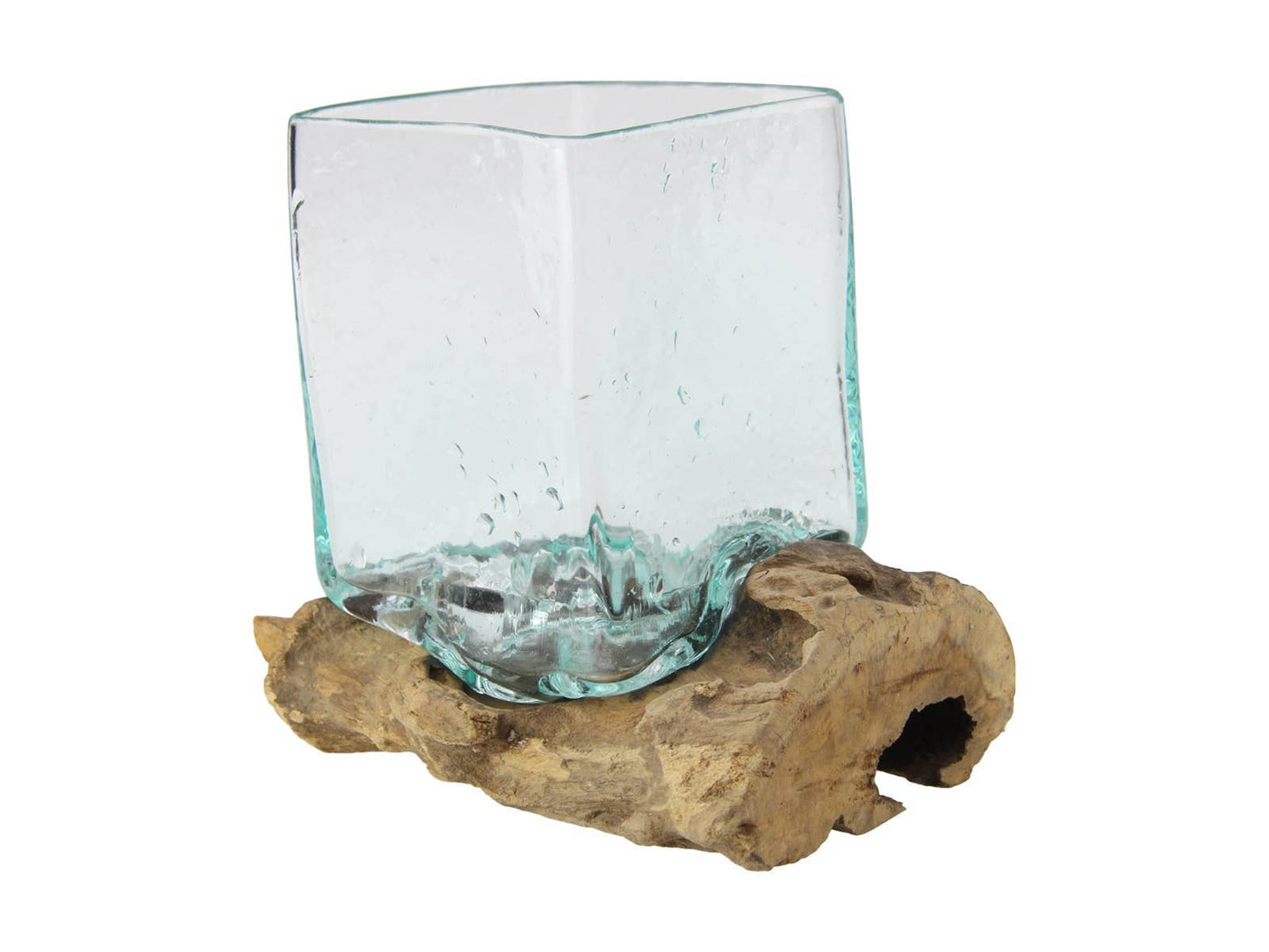 Hand Blown Square Glass Fish Bowl Terrarium on Driftwood